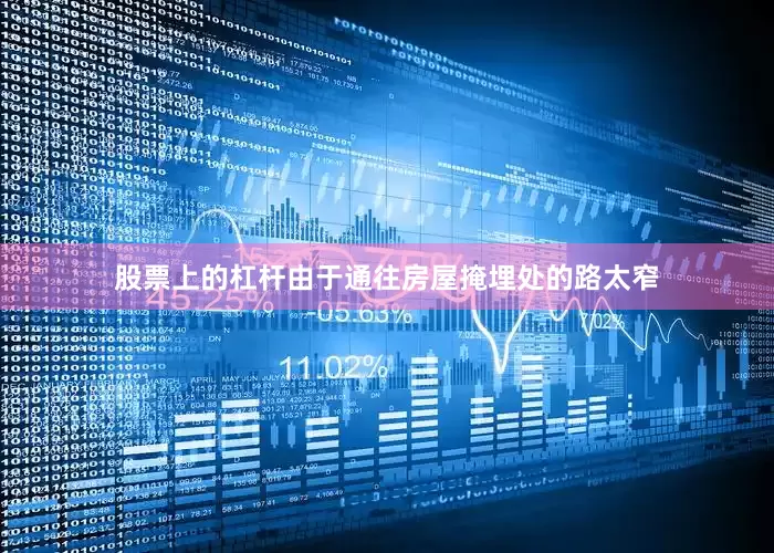 股票上的杠杆由于通往房屋掩埋处的路太窄